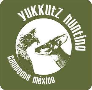 Yukkutz Hunting