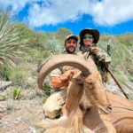 aoudad-sheep-13