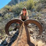 aoudad-sheep-23