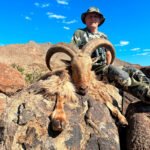 aoudad-sheep-6